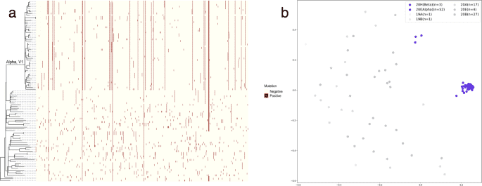 Multimodal data fusion using sparse canonical correlation analysis and cooperative learning: a COVID-19 cohort study