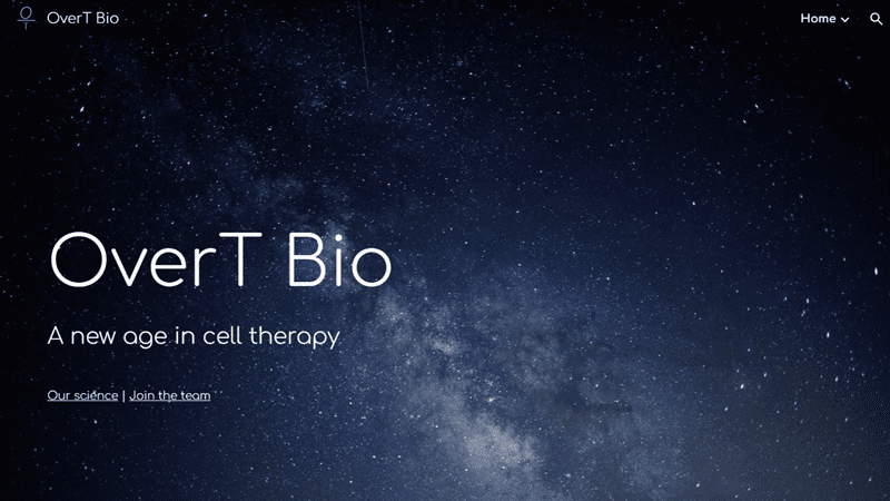 OverT Bio Secures $16M to Optimize Cell Therapy for Solid Tumors