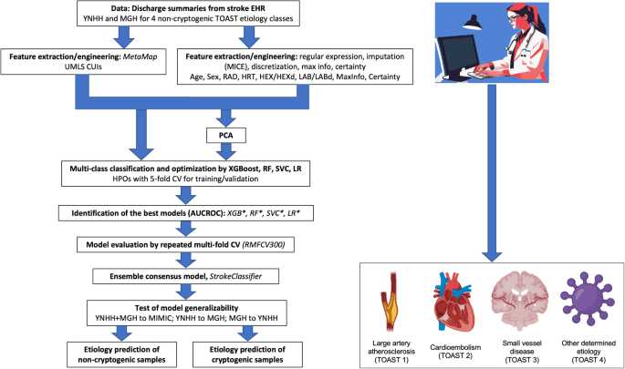 StrokeClassifier: ischemic stroke etiology classification by ensemble consensus modeling using electronic health records