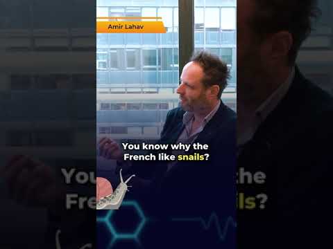 Why do French like snails?