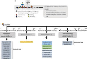 Deployment and validation of the CLL treatment infection model adjoined to an EHR system