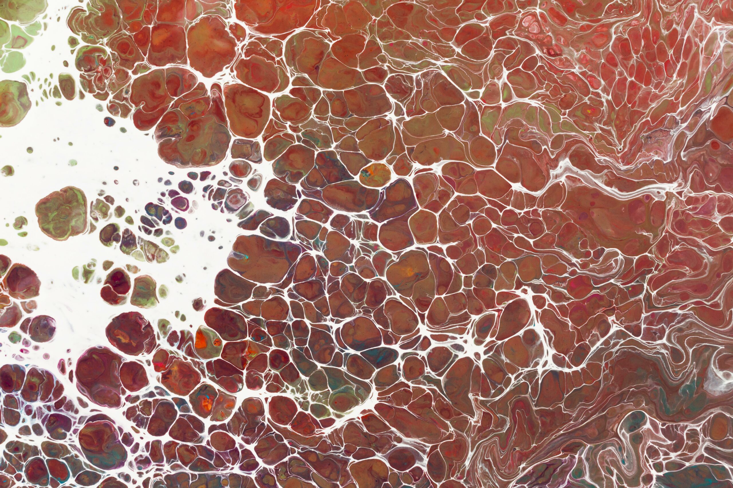 Fighting Rectal Cancer with AI: Researchers Secure $2.78M Grant