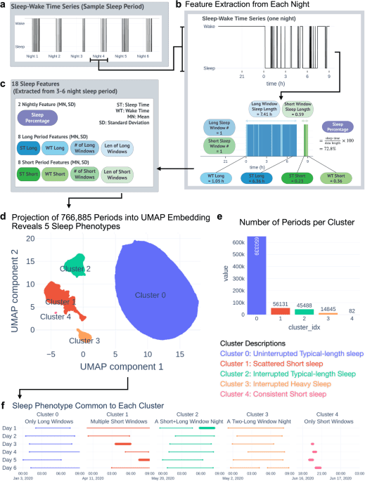 Five million nights: temporal dynamics in human sleep phenotypes