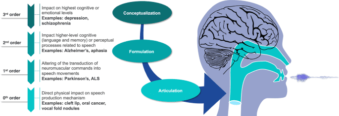 Responsible development of clinical speech AI: Bridging the gap between clinical research and technology
