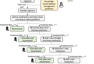 A drug mix and dose decision algorithm for individualized type 2 diabetes management