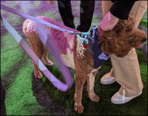 EPtalk by Dr. Jayne 10/24/24 – HIStalk