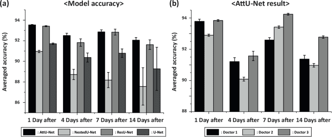 Deep learning based highly accurate transplanted bioengineered corneal equivalent thickness measurement using optical coherence tomography