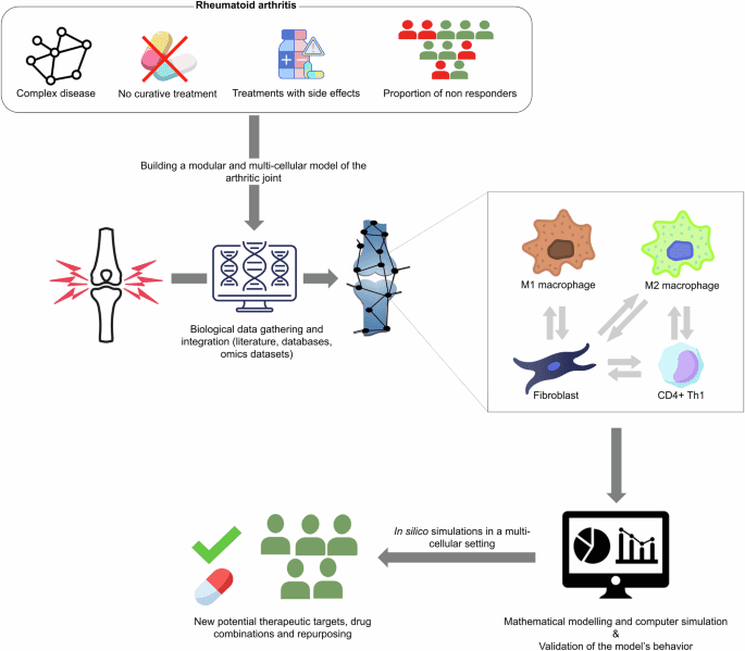 Building a modular and multi-cellular virtual twin of the synovial joint in Rheumatoid Arthritis