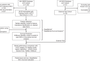 A hybrid machine learning approach for the personalized prognostication of aggressive skin cancers