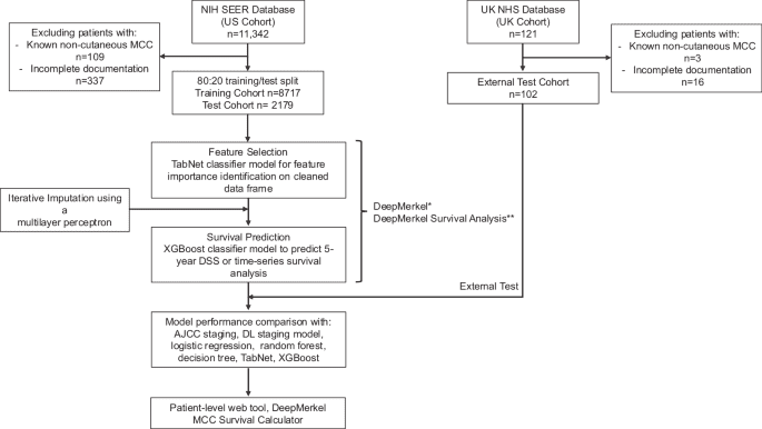 A hybrid machine learning approach for the personalized prognostication of aggressive skin cancers