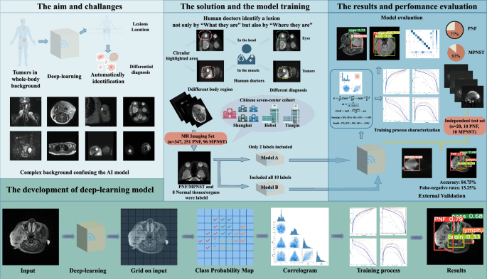 A multicenter study of neurofibromatosis type 1 utilizing deep learning for whole body tumor identification