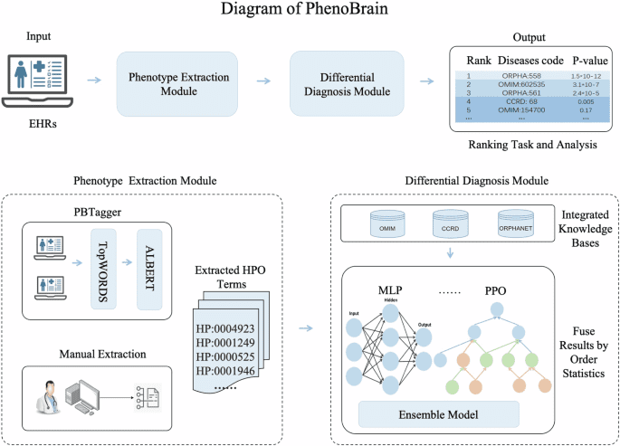 A phenotype-based AI pipeline outperforms human experts in differentially diagnosing rare diseases using EHRs