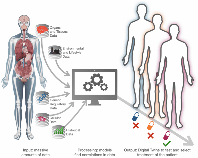 Challenges and opportunities for digital twins in precision medicine from a complex systems perspective