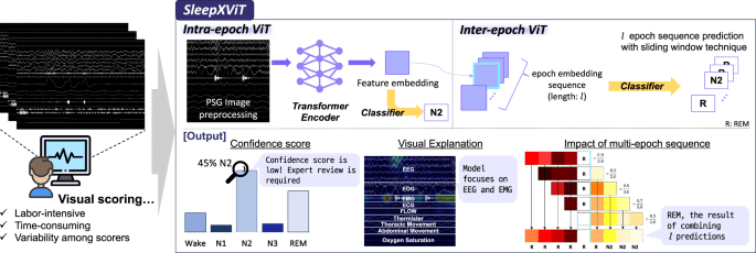 Explainable vision transformer for automatic visual sleep staging on multimodal PSG signals