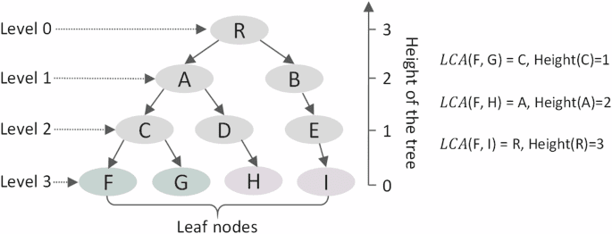 Hierarchical skin lesion image classification with prototypical decision tree