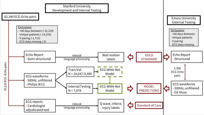 Identification of cardiac wall motion abnormalities in diverse populations by deep learning of the electrocardiogram