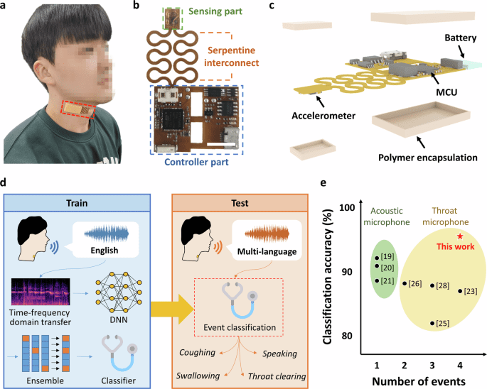 Multimodal deep ensemble classification system with wearable vibration sensor for detecting throat-related events