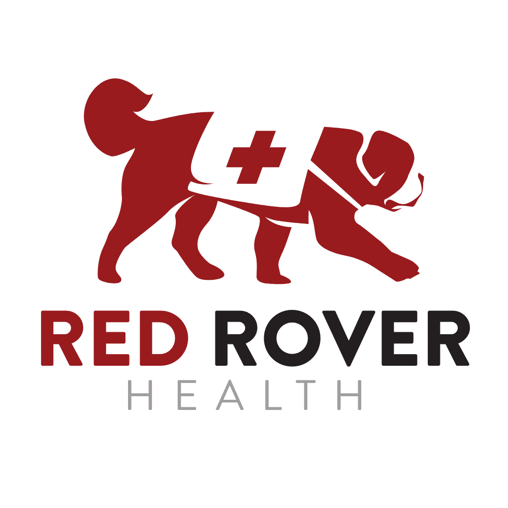 Red Rover Health Secures $4M to Simplify EHR Integration for Providers
