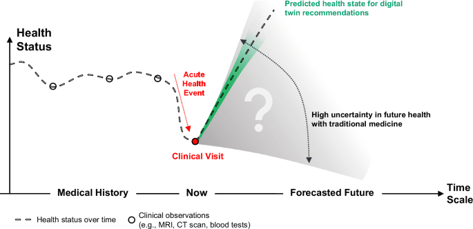 Survey and perspective on verification, validation, and uncertainty quantification of digital twins for precision medicine
