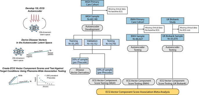 Unsupervised deep learning of electrocardiograms enables scalable human disease profiling