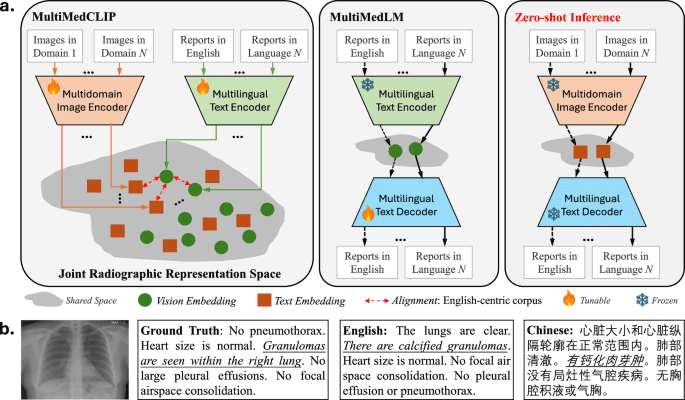 A multimodal multidomain multilingual medical foundation model for zero shot clinical diagnosis