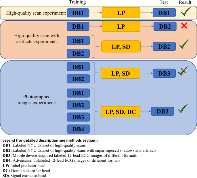 Clinically meaningful interpretability of an AI model for ECG classification