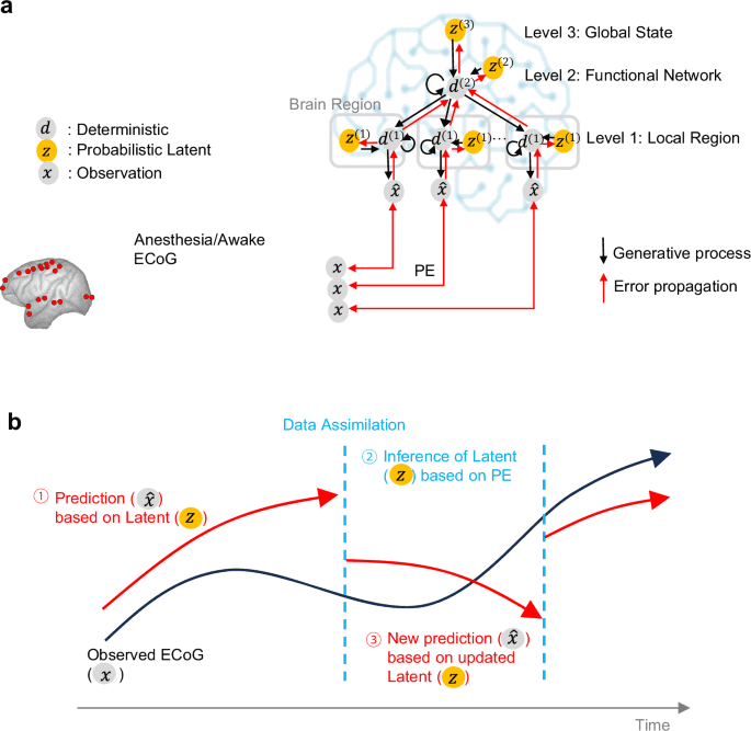Digital twin brain simulator for real-time consciousness monitoring and virtual intervention using primate electrocorticogram data