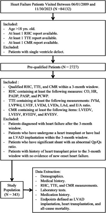 Identification of digital twins to guide interpretable AI for diagnosis and prognosis in heart failure