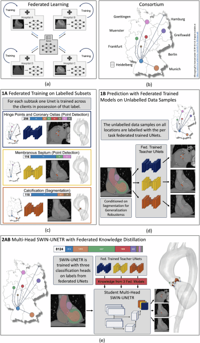Real world federated learning with a knowledge distilled transformer for cardiac CT imaging