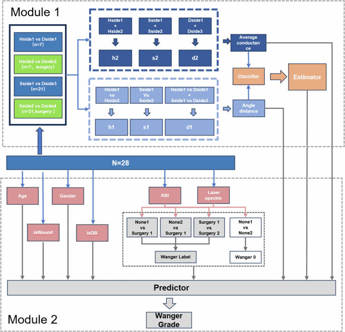 A clinically interpretable model derived from skin conductance for assessing microangiopathy of the skin surface