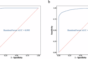 A noninvasive realtime body position monitoring system for the entire course of tumor radiotherapy