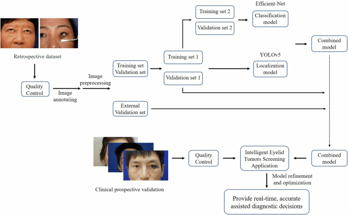 Deep learning-based mobile application for efficient eyelid tumor recognition in clinical images