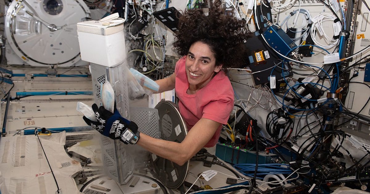 Heart cell research on the International Space Station