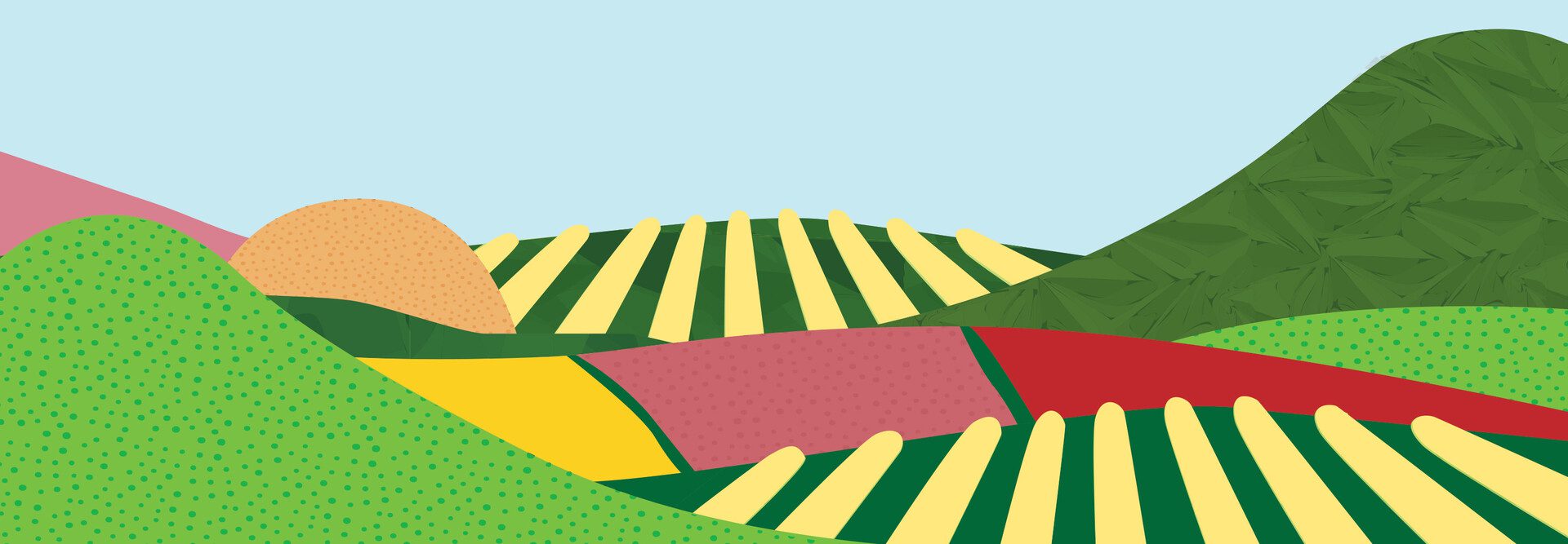 Preparing Data for AI Implementation in Healthcare