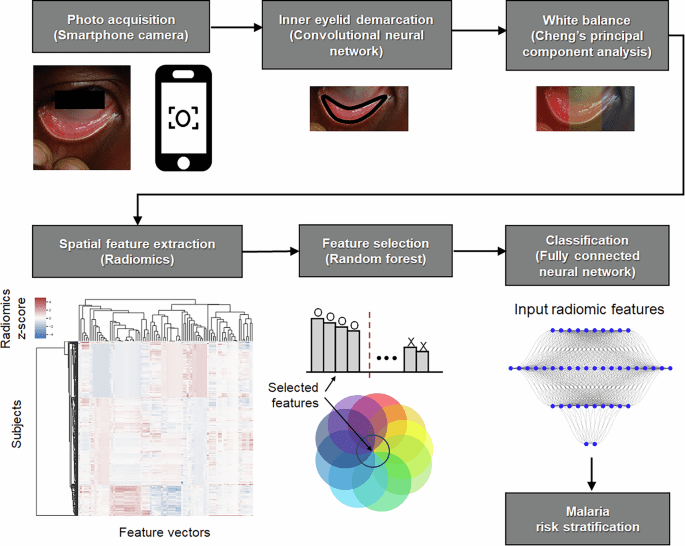 Smartphone conjunctiva photography for malaria risk stratification in asymptomatic school age children