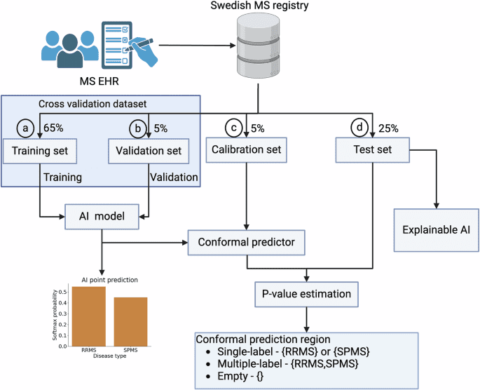 Conformal prediction enables disease course prediction and allows individualized diagnostic uncertainty in multiple sclerosis