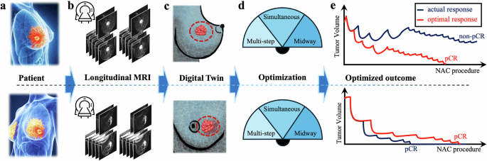 MRI-based digital twins to improve treatment response of breast cancer by optimizing neoadjuvant chemotherapy regimens