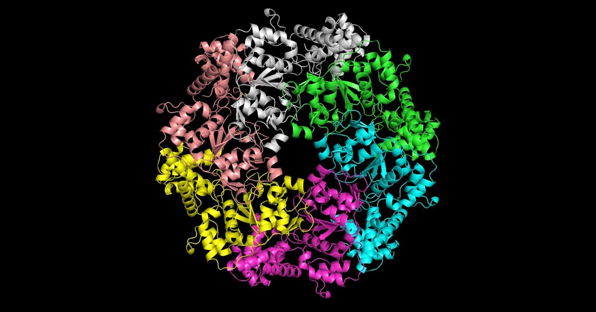 Q&A: Microsoft's breakthrough AI tool makes it easier to study how proteins are built