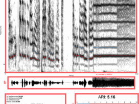 A multivariate model incorporating subharmonic measurements for evaluating vocal roughness