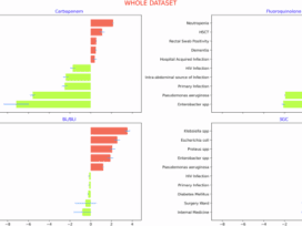 Artificial Intelligence model to predict resistances in Gram-negative bloodstream infections