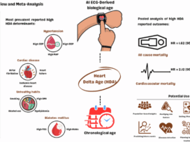 Determinants of artificial intelligence electrocardiogram-derived age and its association with cardiovascular events and mortality: a systematic review and meta-analysis