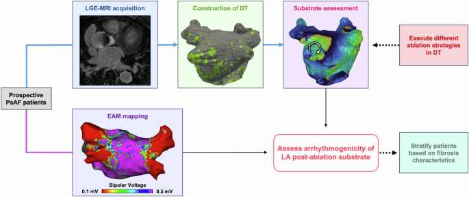 Digital twins enable stratification of persistent atrial fibrillation patients for ablation diminishing unnecessary heart damage