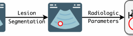 Fair ultrasound diagnosis via adversarial protected attribute aware perturbations on latent embeddings