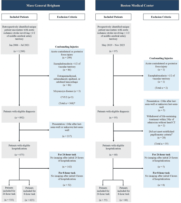 Hybrid machine learning for real-time prediction of edema trajectory in large middle cerebral artery stroke