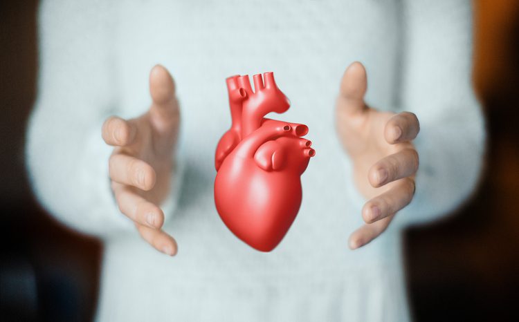 Imperial researchers create AI model to generate heart animations