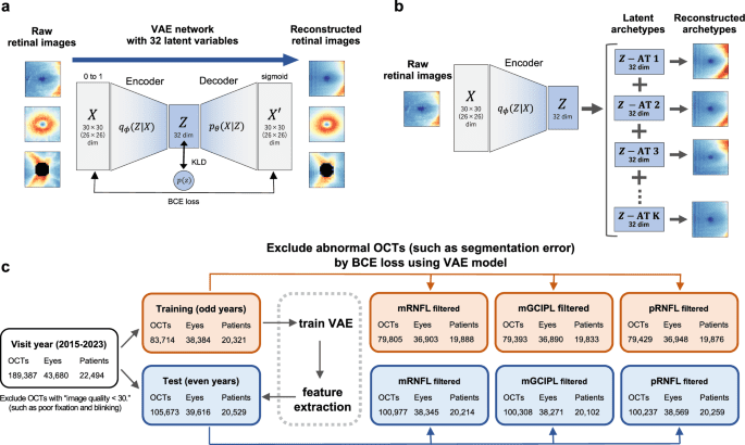 Latent retinal structural patterns with aging
