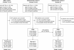 Multimodal GPT model for assisting thyroid nodule diagnosis and management