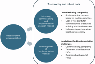 Usability testing a web application to support evidence-based commissioning decisions for implementing mobile stroke units