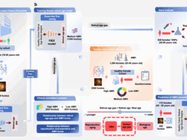Artificial intelligence-derived retinal age gap as a marker for reproductive aging in women