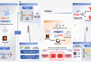 Artificial intelligence-derived retinal age gap as a marker for reproductive aging in women